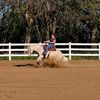 arabian_horse_woman