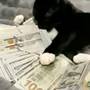 vitor_0.26