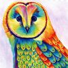 owlkindofdesign