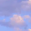 sophiapimentel233