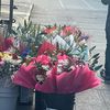 torres_954