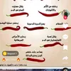 chapuk88