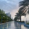 shamallh_8