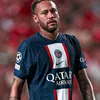 fc_vini7
