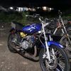 tarigan_pall