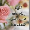 user397378701