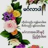 user8830446835662