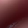 netdbsk