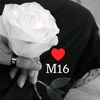 m16__alg
