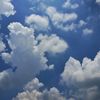 under.the.same.sky.w