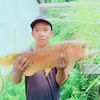 zulkif667
