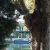 pilarmenamarquez