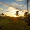 peterali06
