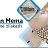 albanmema86