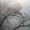 _fsnixx