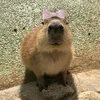 jmkv_1314