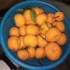 lenni071