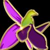 qarabag__058