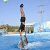 mahmoud.a.elmaksoud
