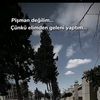 hilal_abdullayev_37_