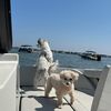 boatingdogmomma