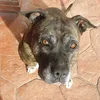 enriqueitor6
