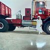 raeg_7