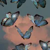 usuer_skyblue1
