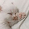 nodoo_9