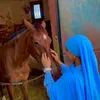 _avvya_1
