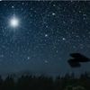 estrellita.86
