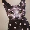 iheartcats23