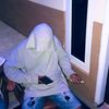 ular_phyton