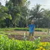 anhnongdan2958