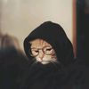 fusuyyi_
