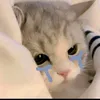 dwinrhmwti