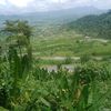 phuy.hong830