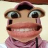 bolleeh