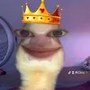 23_dino_01