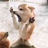 aliladersamunds