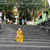 srippah7