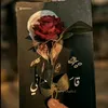 dycbz4a4dwkh