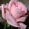 user145009318