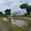 bikalamassa