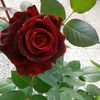 marem...abdaziz