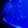 _chinh6
