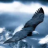 aboalbad1