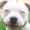 dycflt9h7ywy