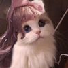 yuanhong27