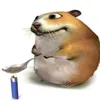 bezdarb5
